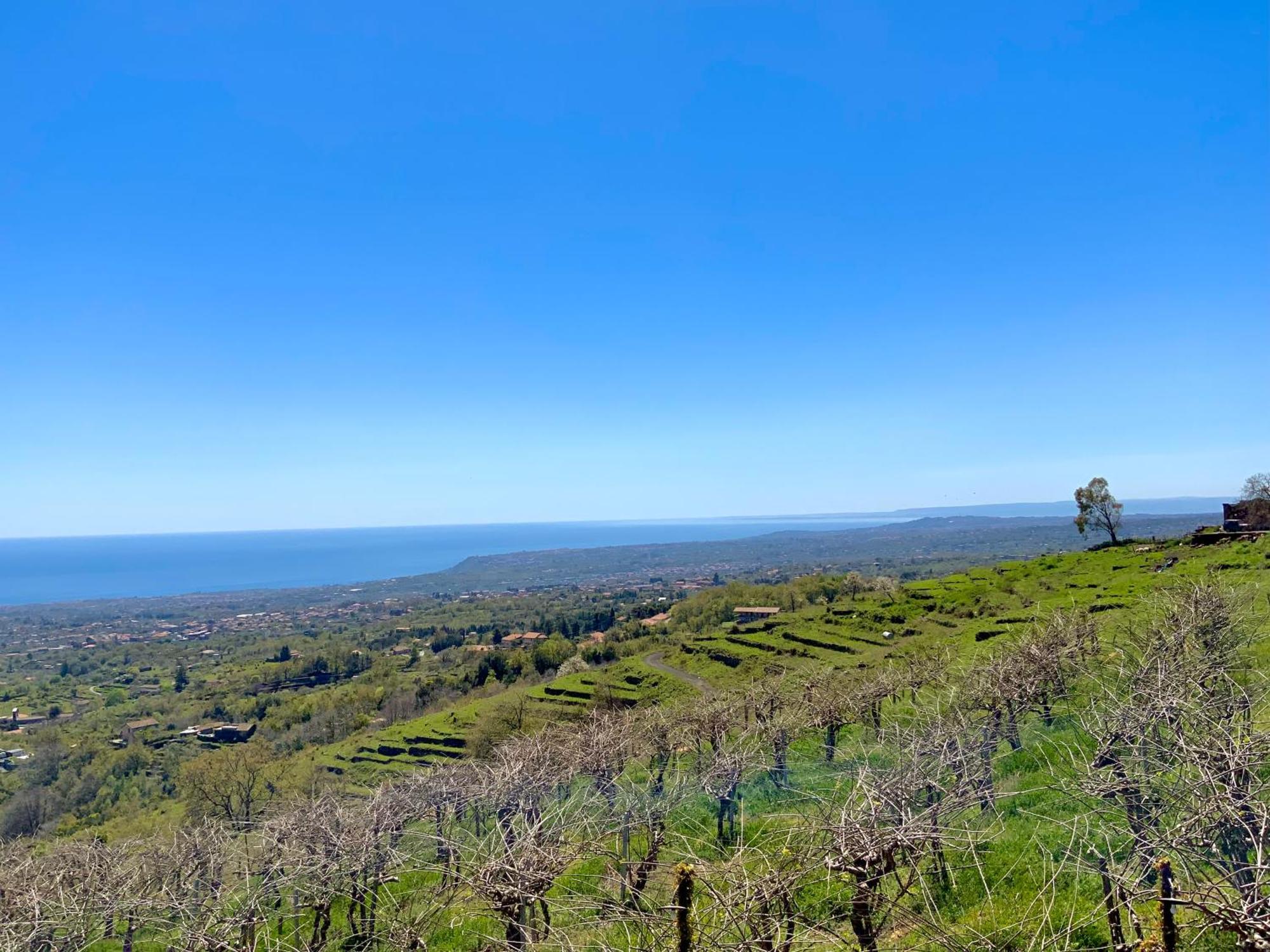 Tenuta Kiwi Dell'Etna Milo Exteriör bild