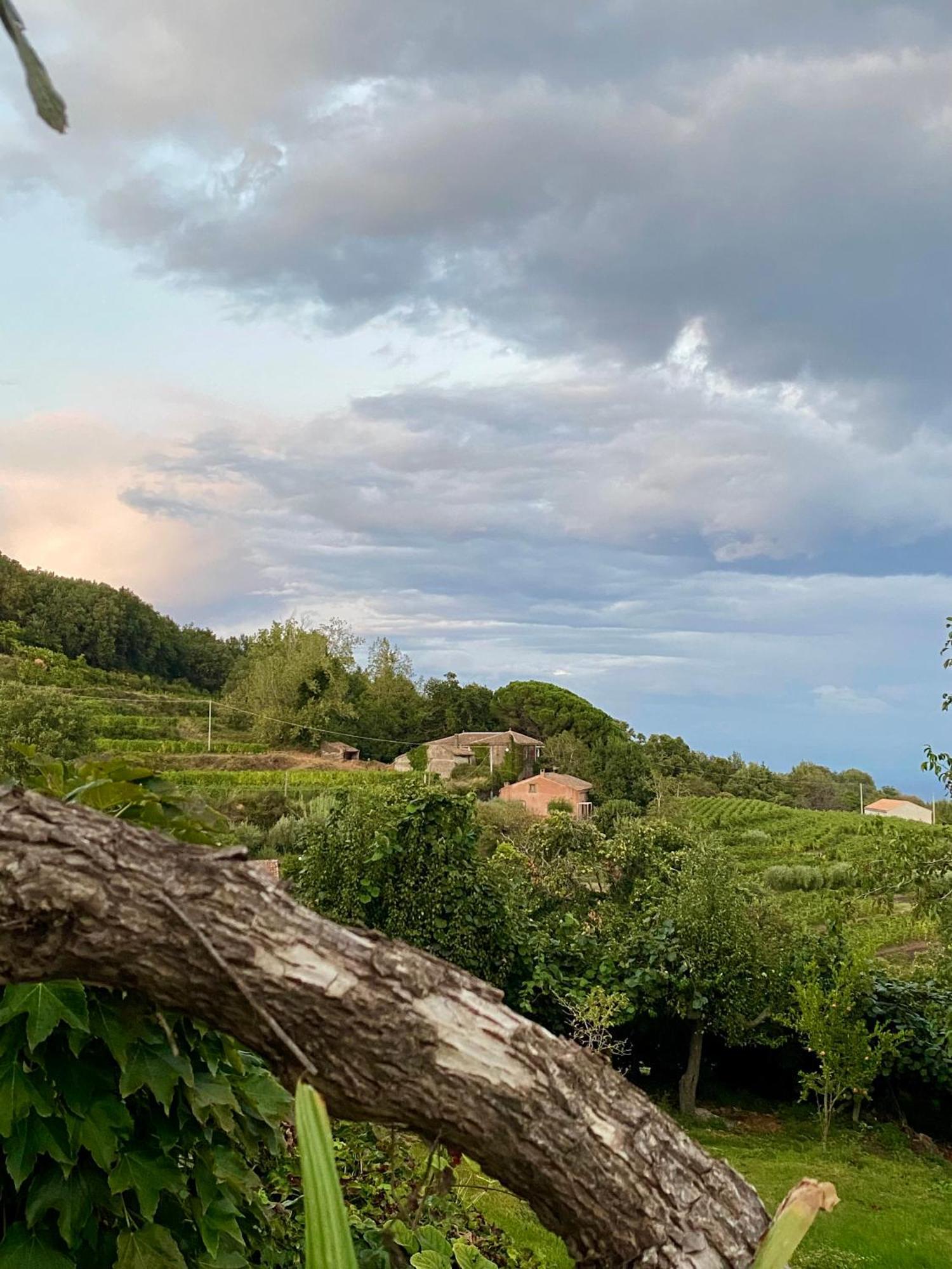 Tenuta Kiwi Dell'Etna Milo Exteriör bild
